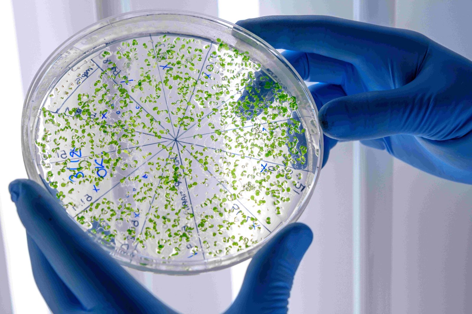 legionella prevention and control telford